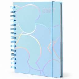Agenda 2027 corazones celeste