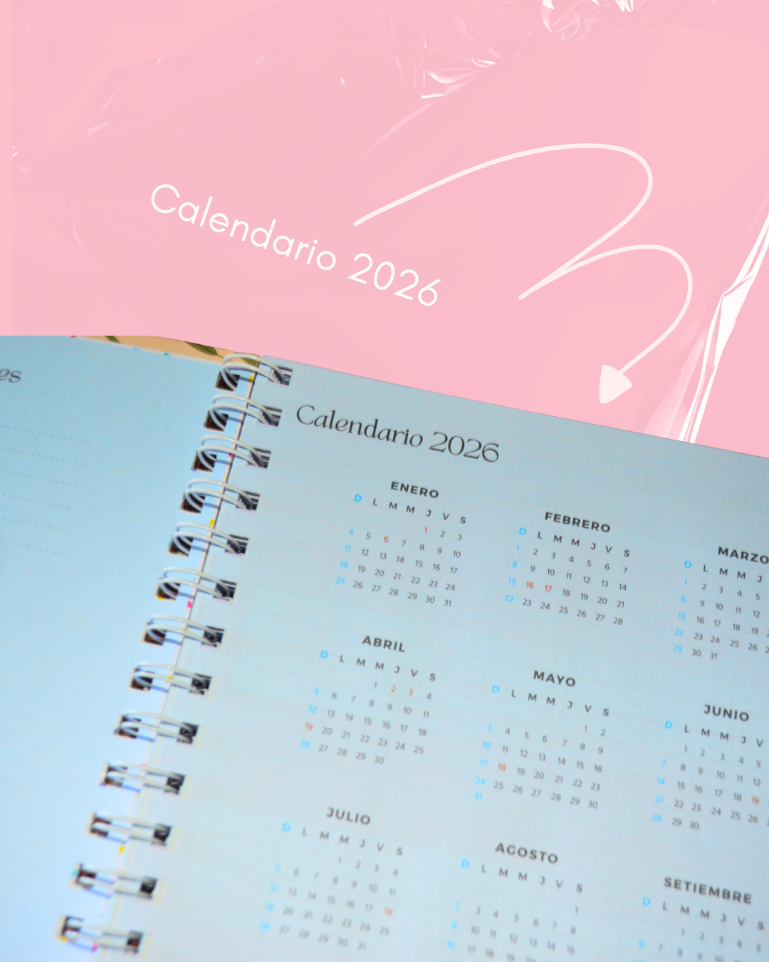 Agenda Personalizada