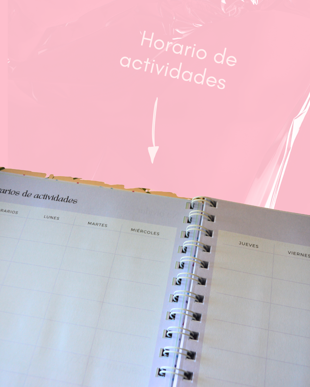 Agenda Personalizada