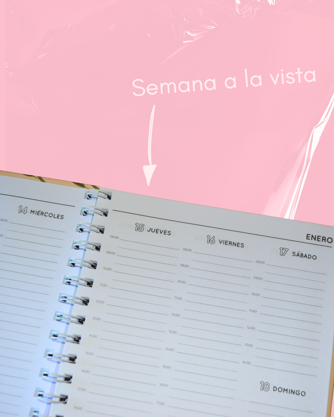 Agenda Personalizada